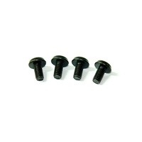 HOBBYTECH Engine mount Screw M4 - HT-STR-091